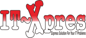 LOGO IT-EXPRES (1)